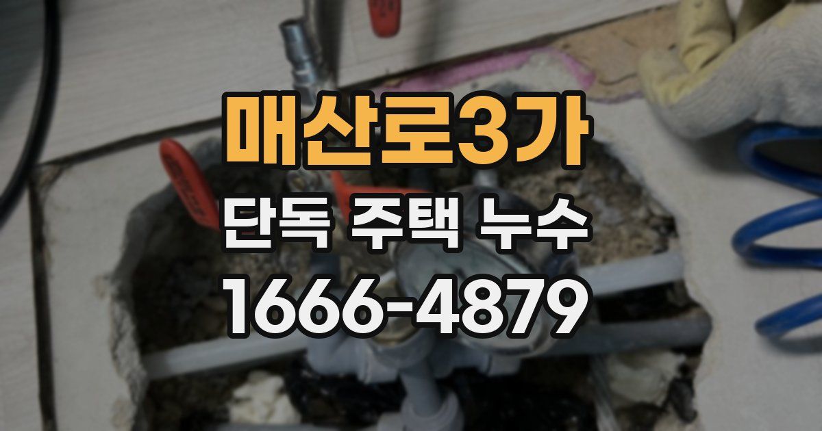 매산로3가 단독 주택 누수
