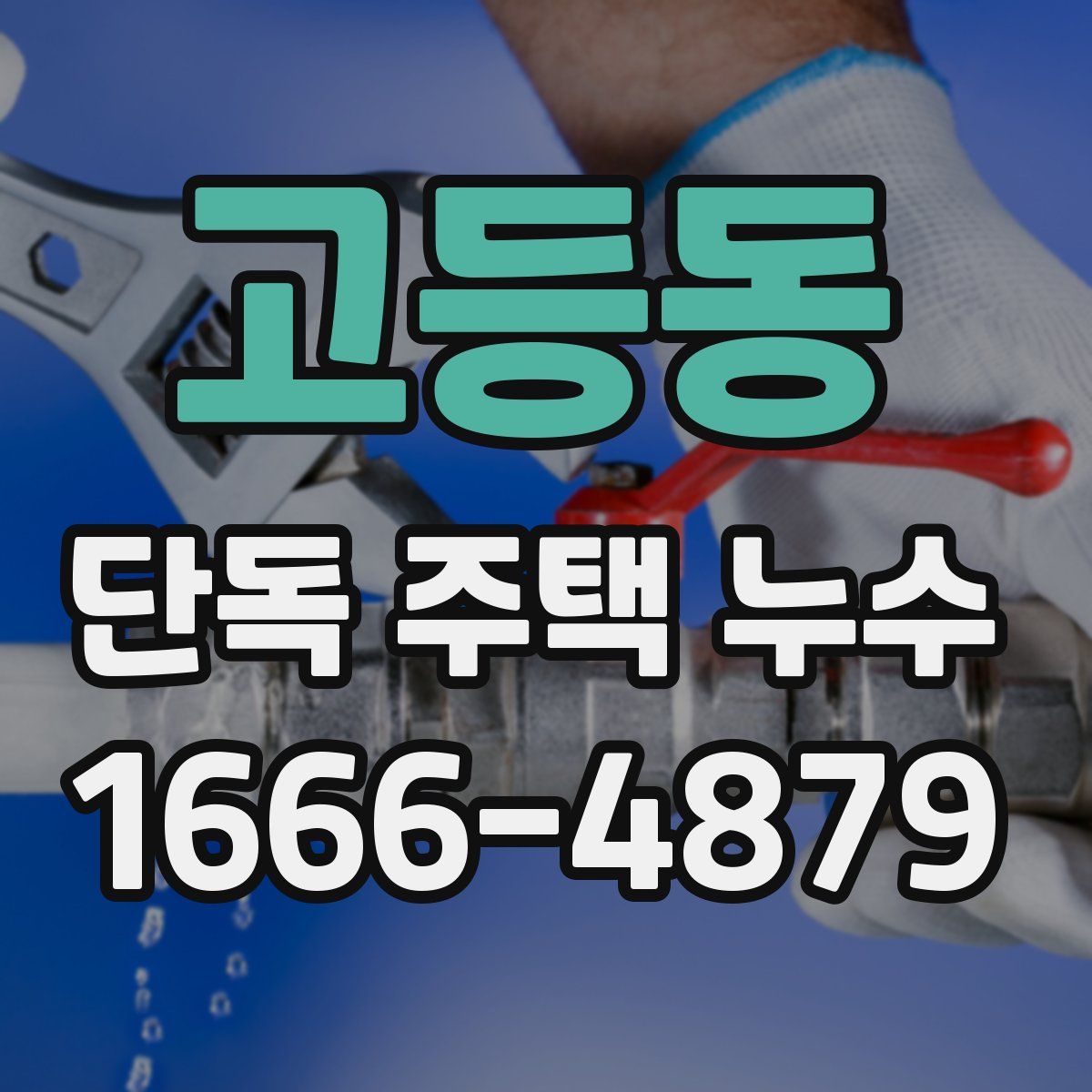 고등동 단독 주택 누수