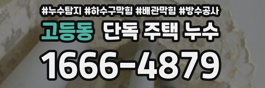 고등동 단독 주택 누수