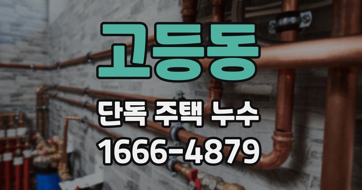 고등동 단독 주택 누수