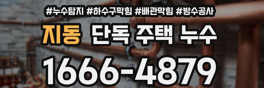지동 단독 주택 누수