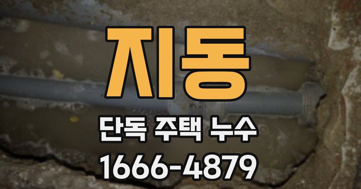 지동 단독 주택 누수