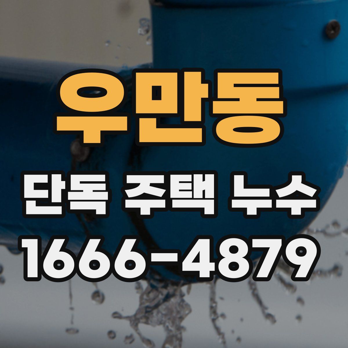 우만동 단독 주택 누수