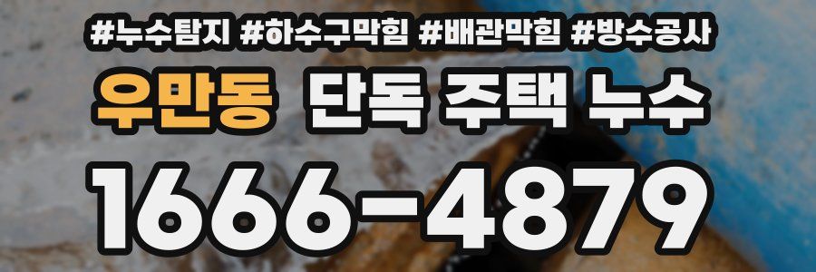 우만동 단독 주택 누수