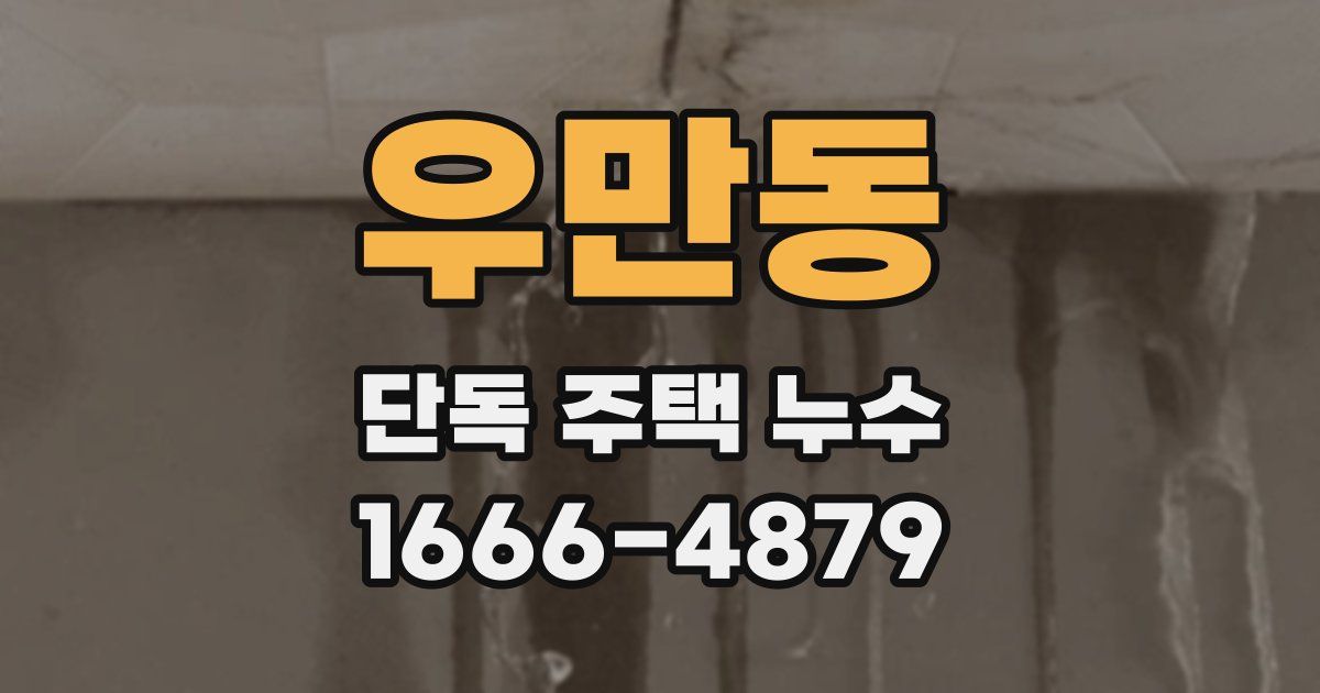 우만동 단독 주택 누수