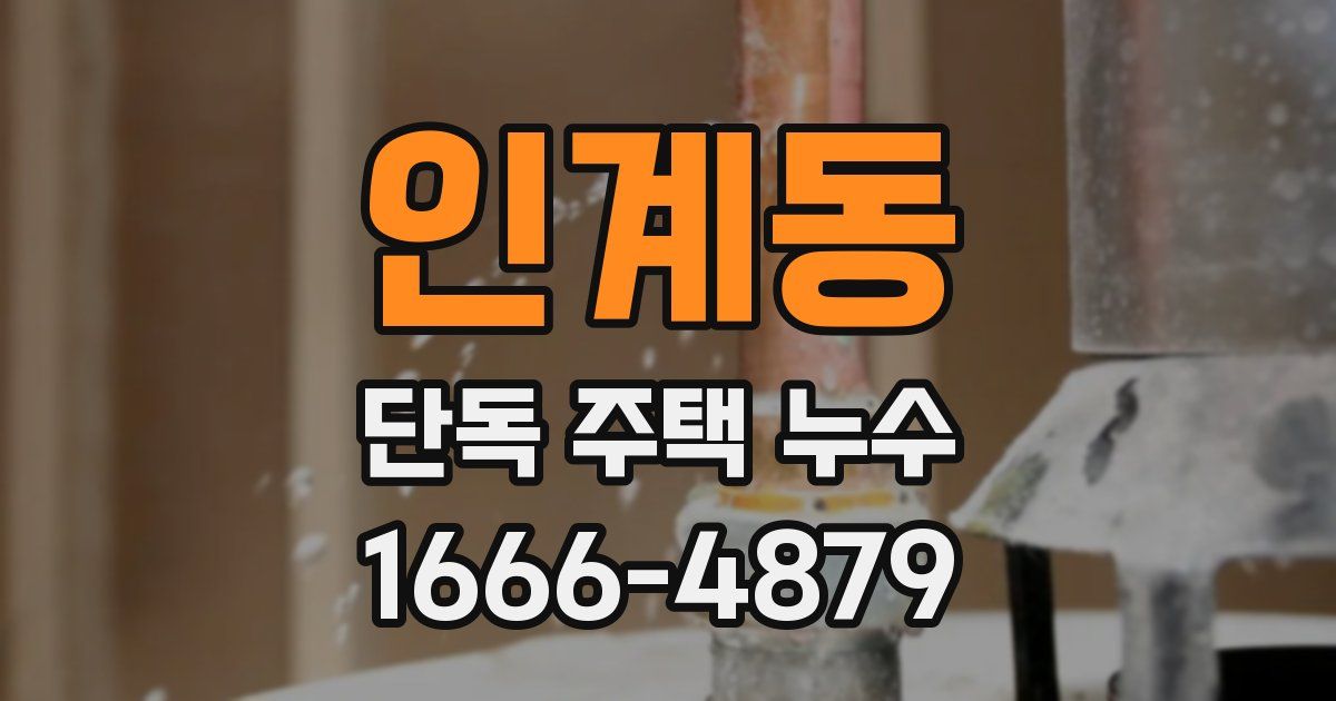 인계동 단독 주택 누수