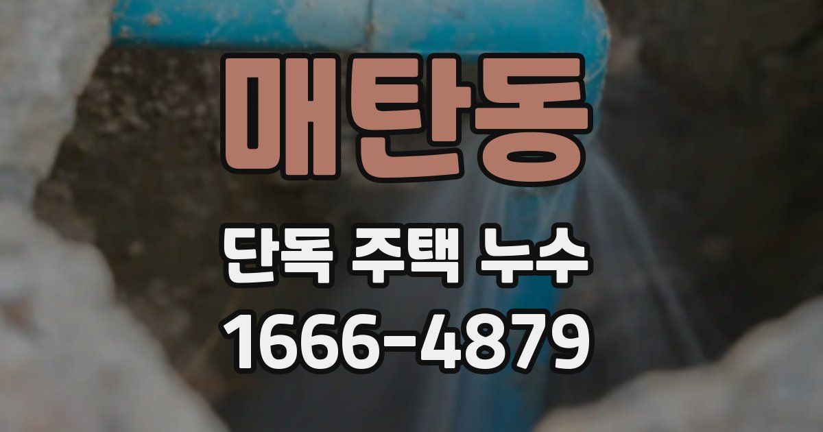 매탄동 단독 주택 누수