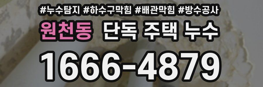 원천동 단독 주택 누수