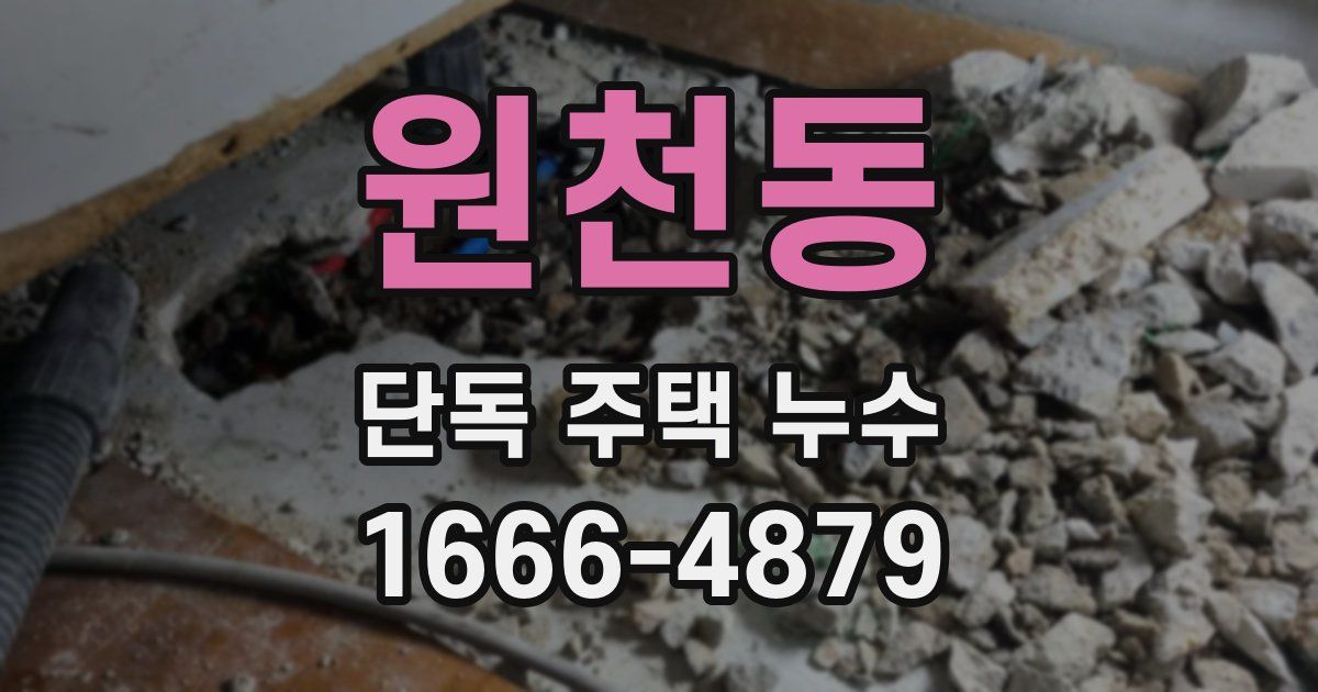 원천동 단독 주택 누수