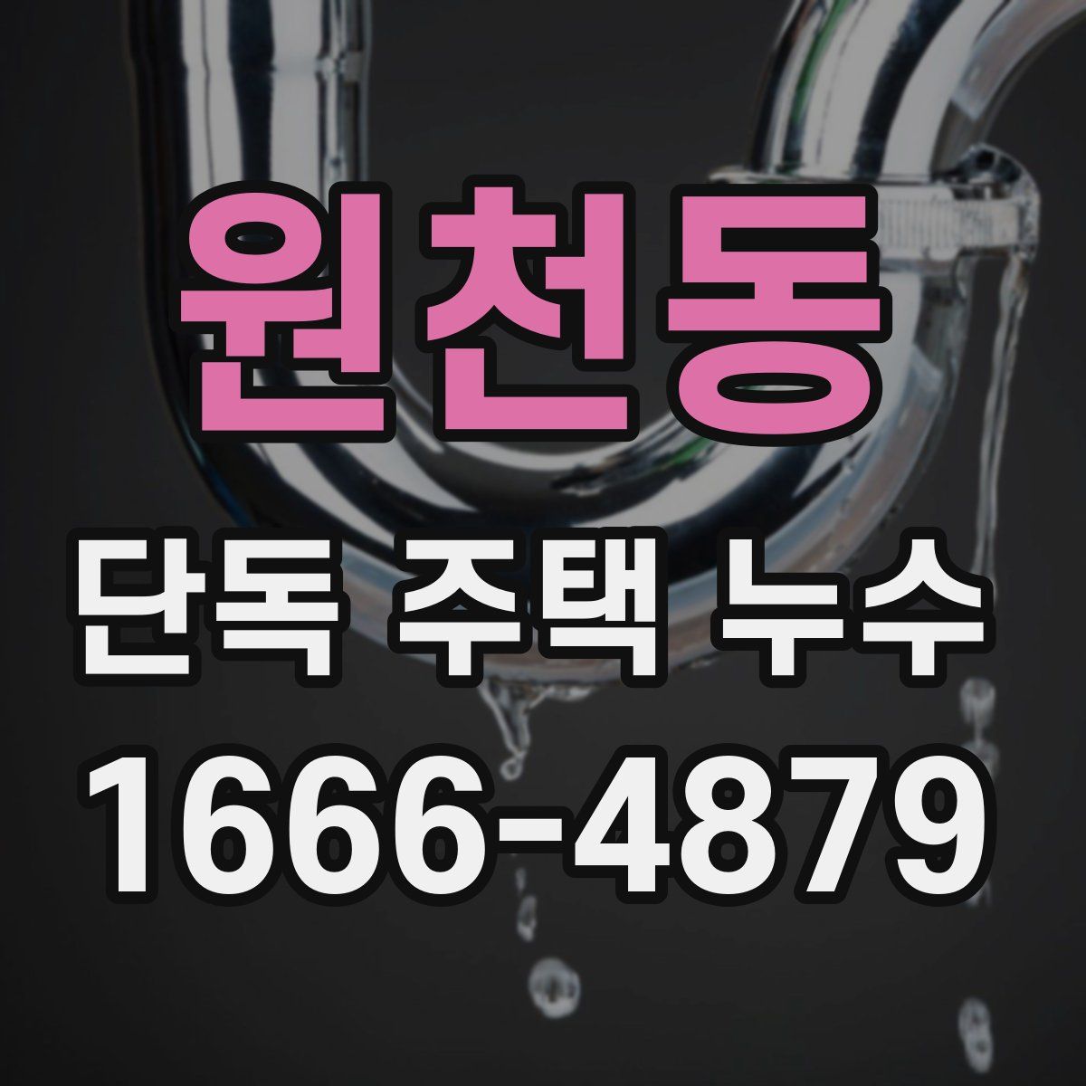 원천동 단독 주택 누수
