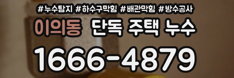 이의동 단독 주택 누수