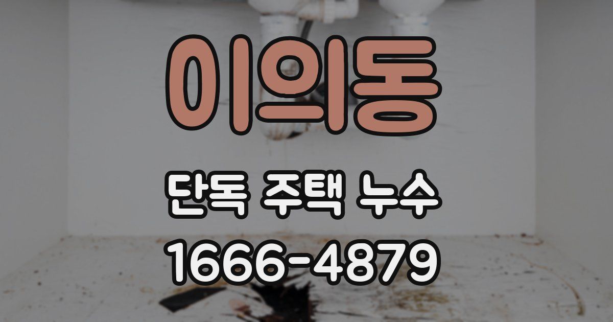 이의동 단독 주택 누수