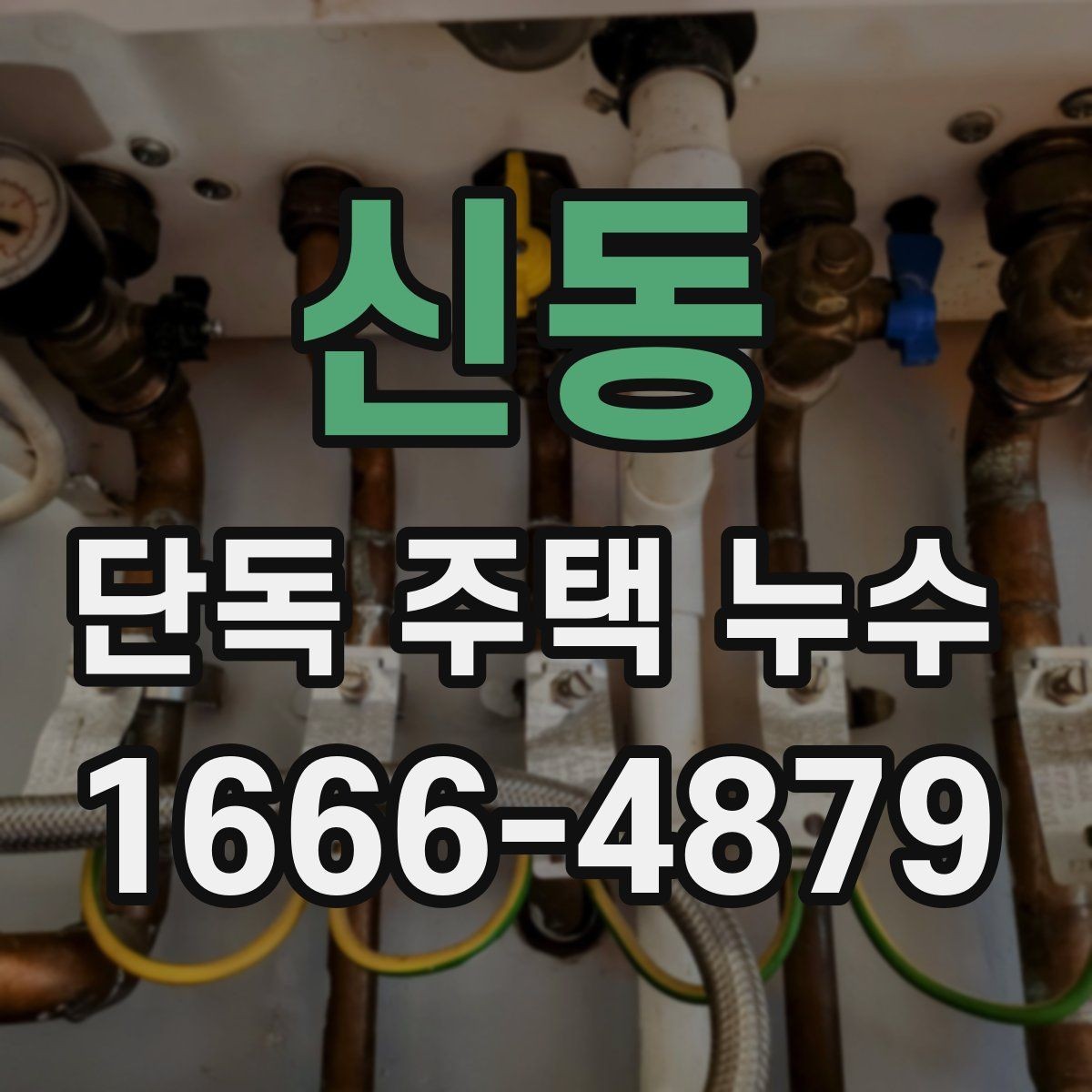신동 단독 주택 누수 진단 비용 살펴보기