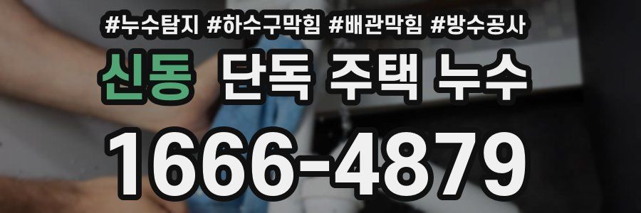 신동 단독 주택 누수