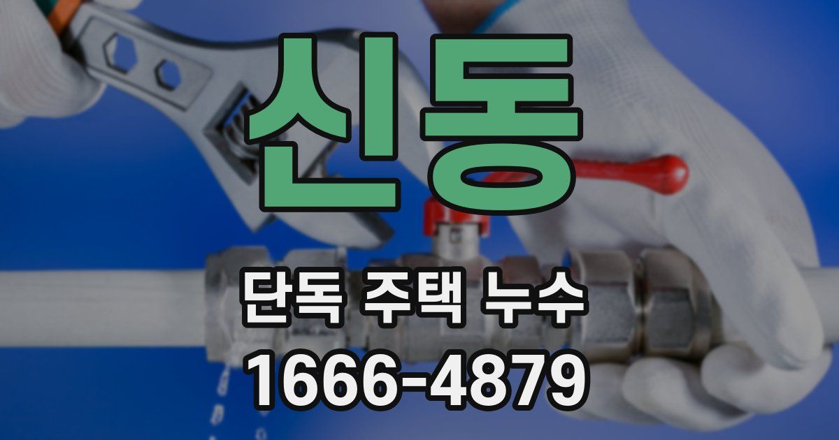 신동 단독 주택 누수