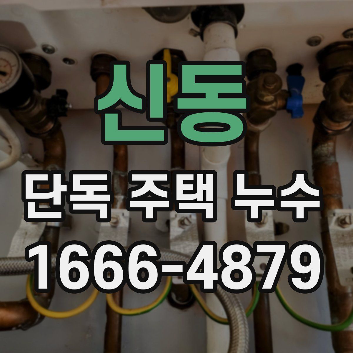 신동 단독 주택 누수