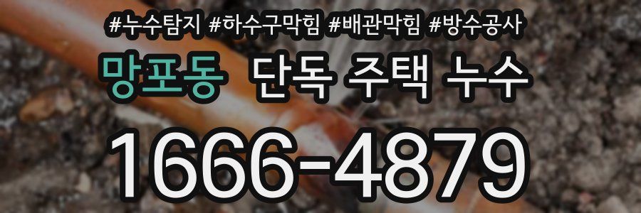 망포동 단독 주택 누수