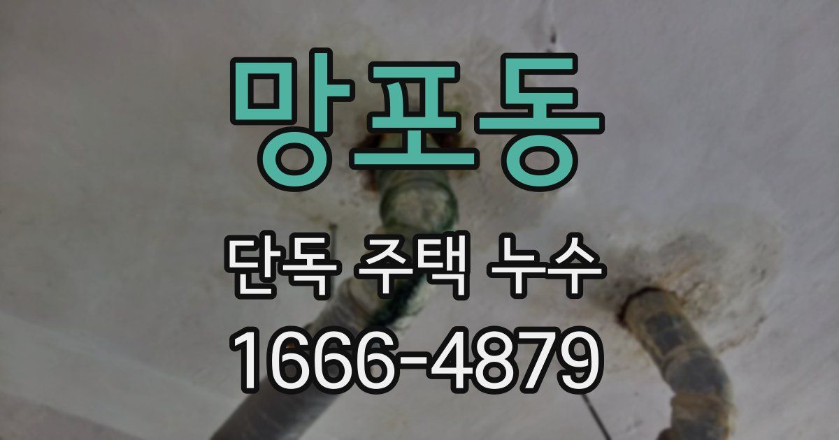 망포동 단독 주택 누수