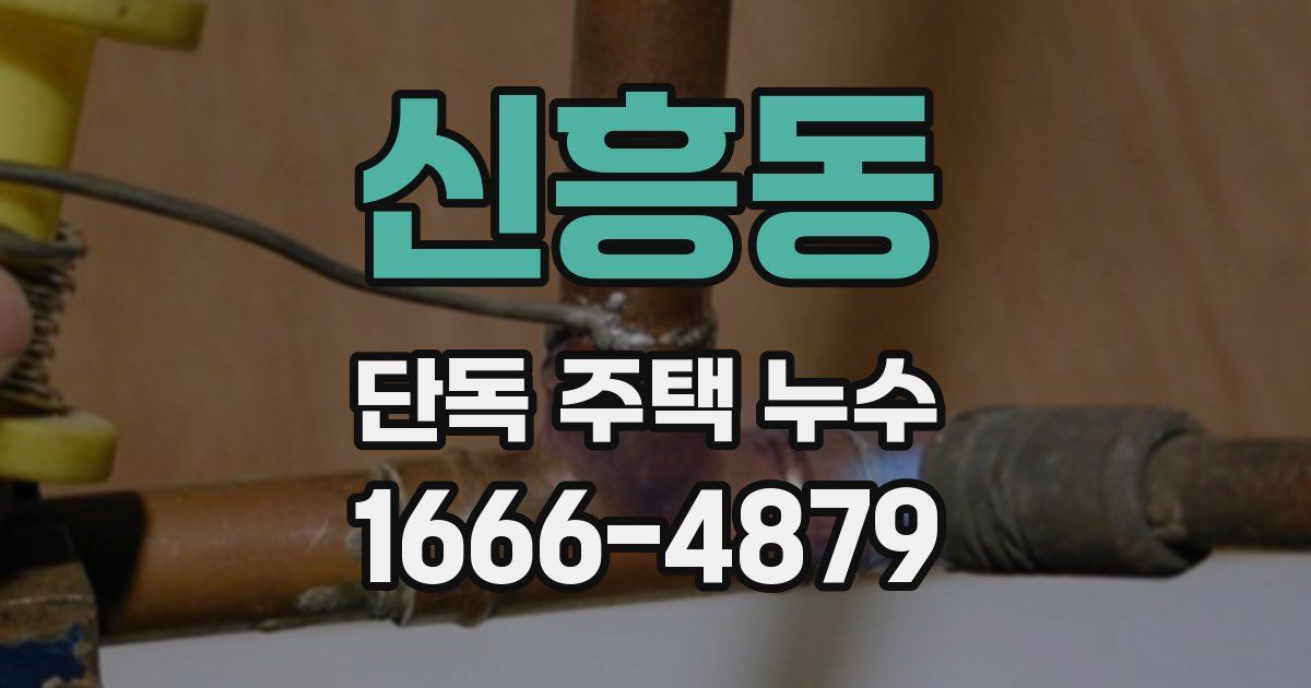신흥동 단독 주택 누수