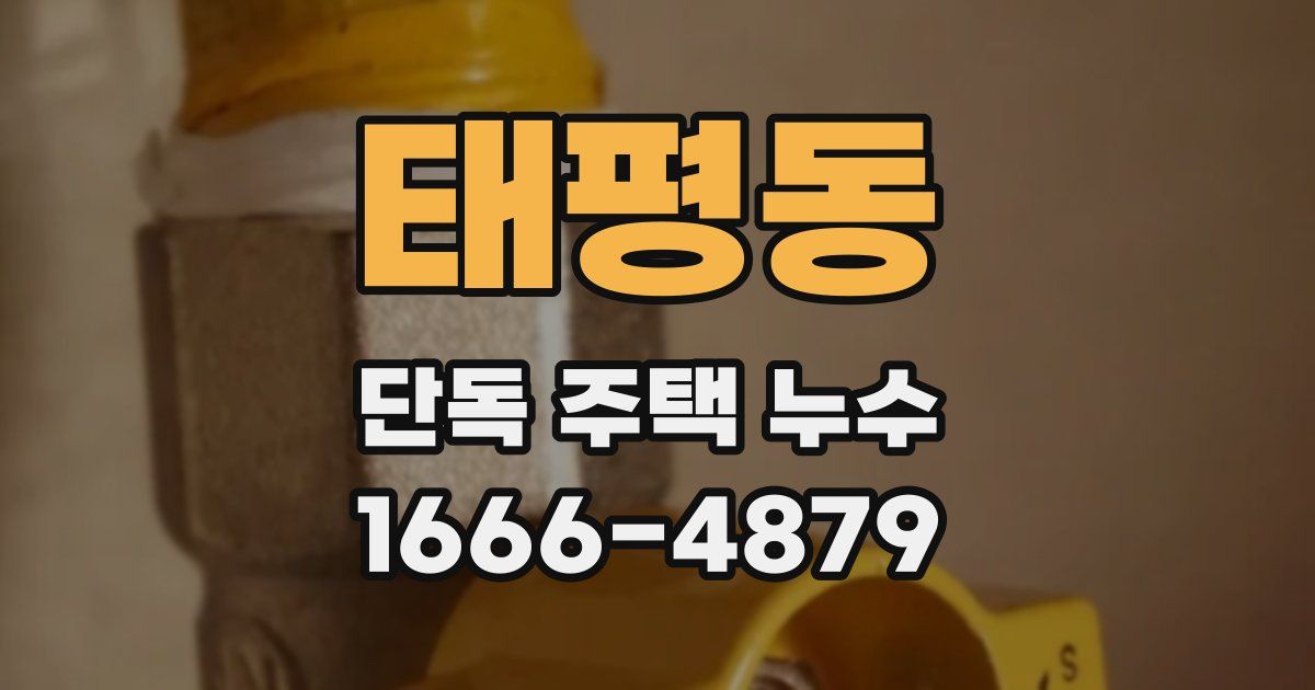 태평동 단독 주택 누수