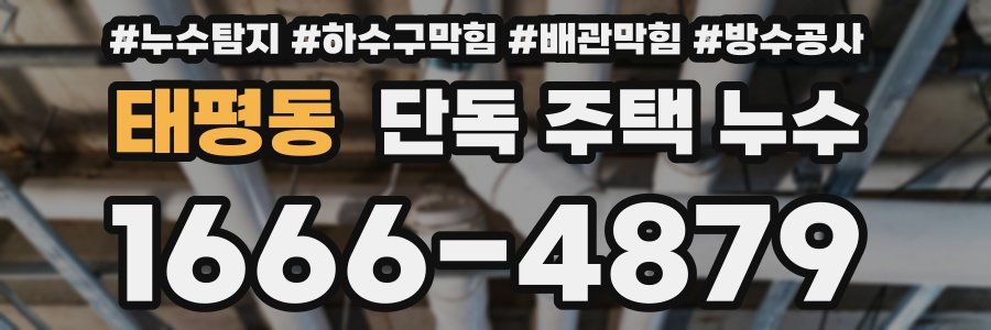 태평동 단독 주택 누수
