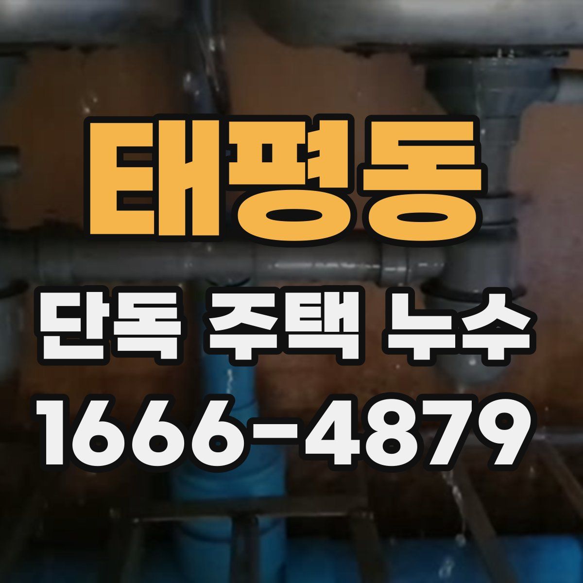 태평동 단독 주택 누수