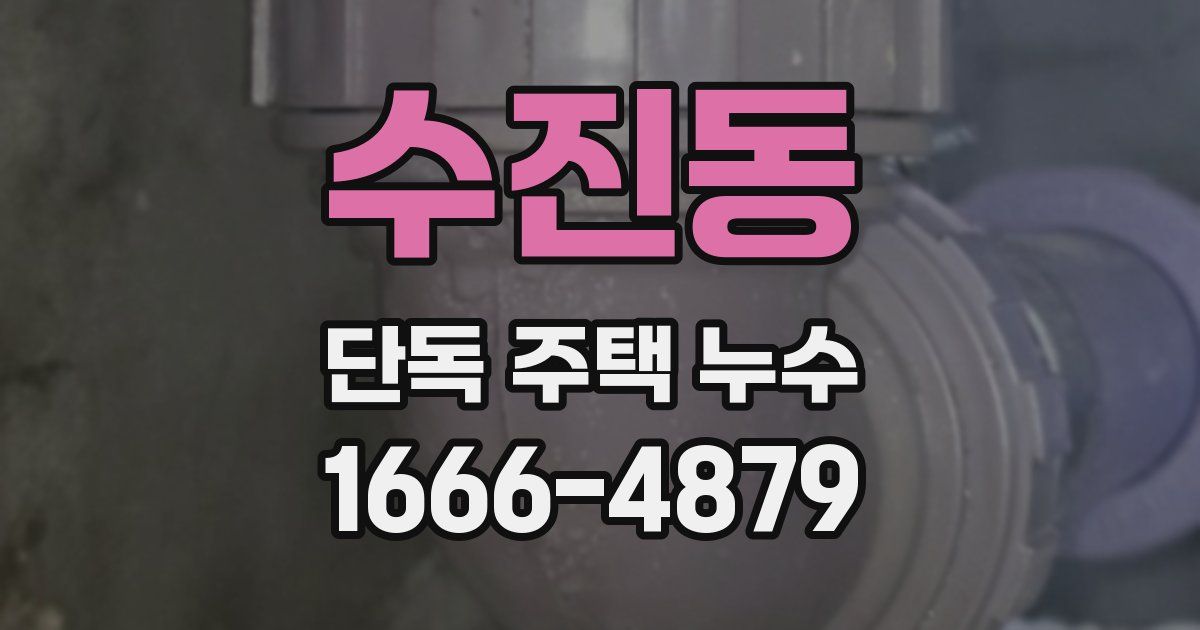 수진동 단독 주택 누수