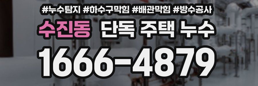 수진동 단독 주택 누수