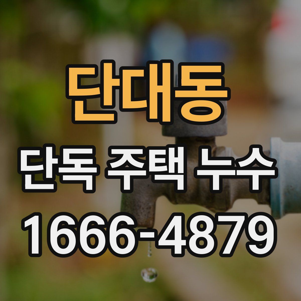 단대동 단독 주택 누수