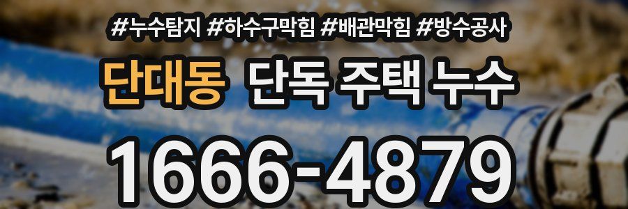 단대동 단독 주택 누수