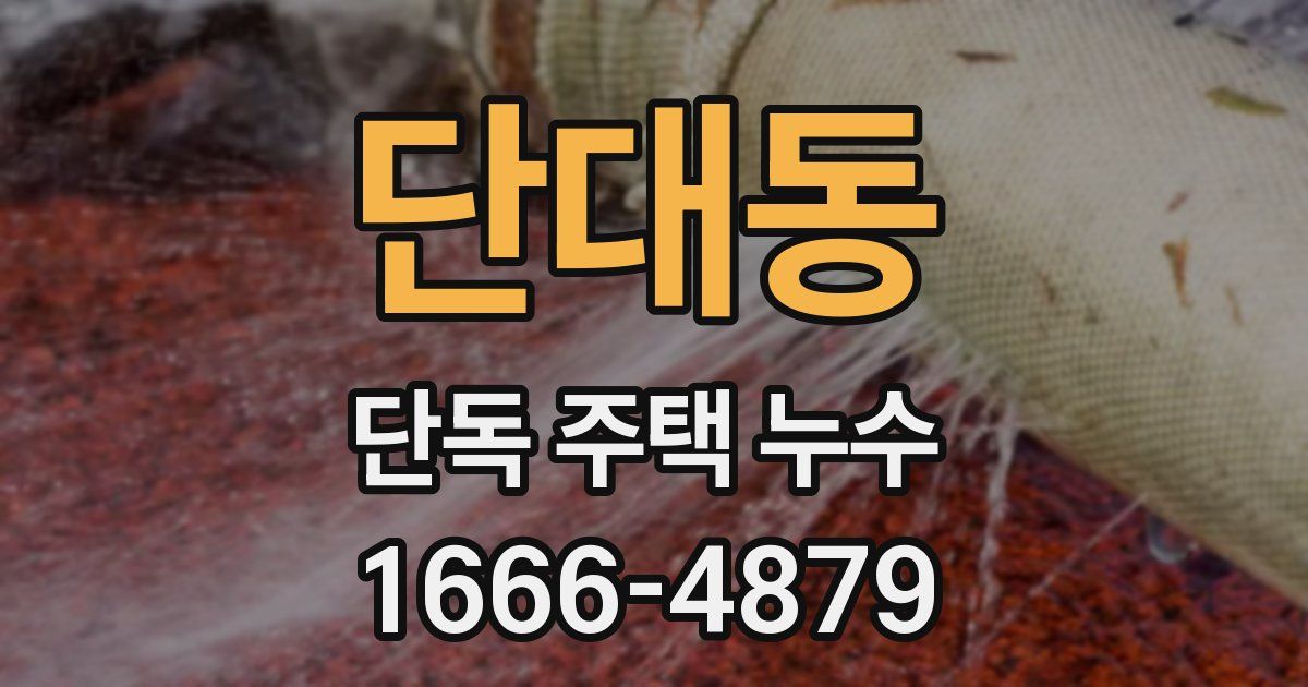 단대동 단독 주택 누수