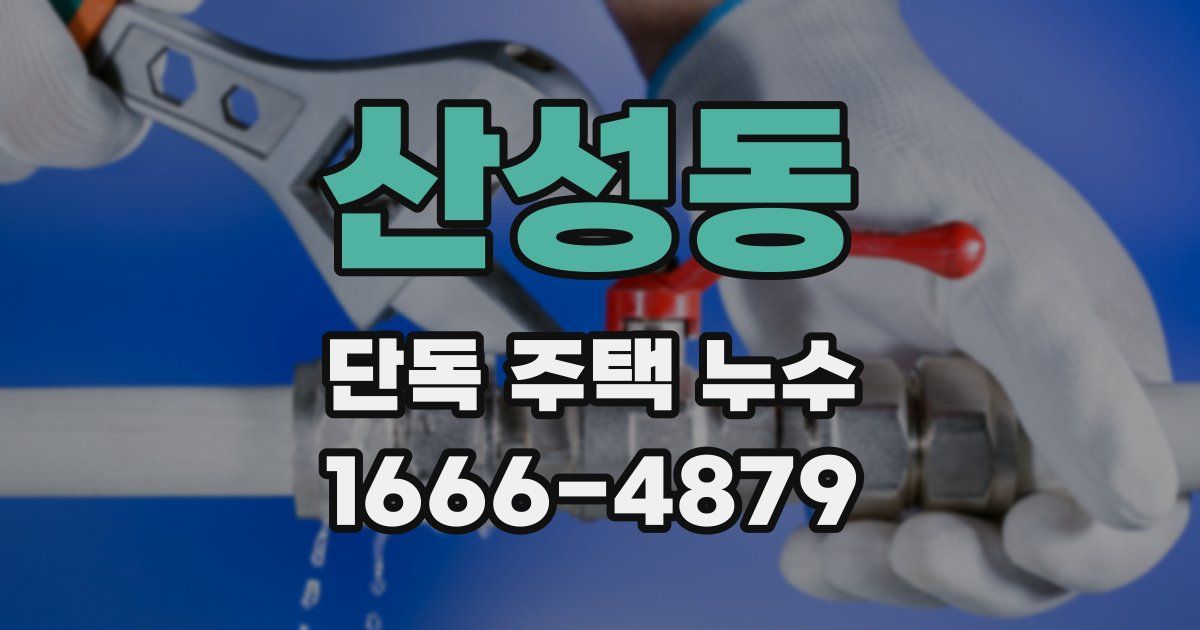 산성동 단독 주택 누수