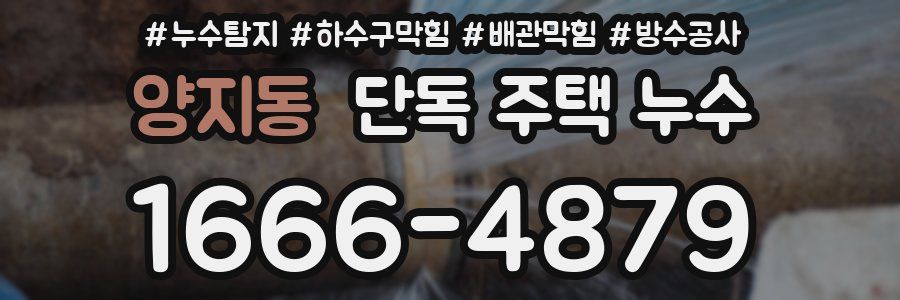 양지동 단독 주택 누수
