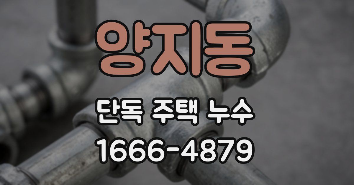 양지동 단독 주택 누수