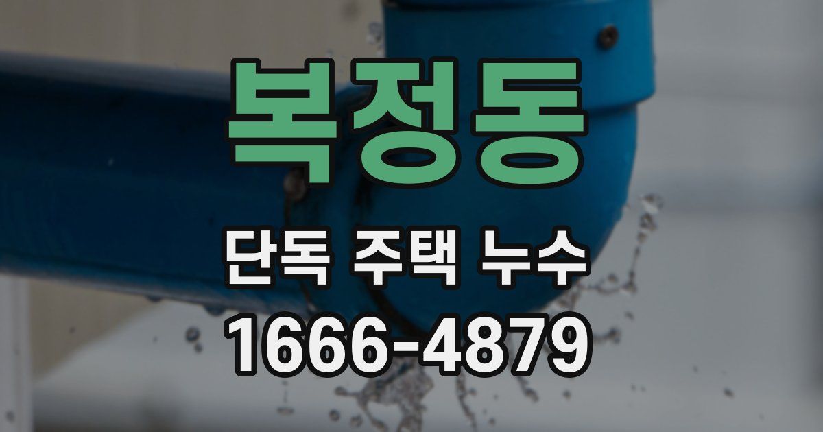 복정동 단독 주택 누수