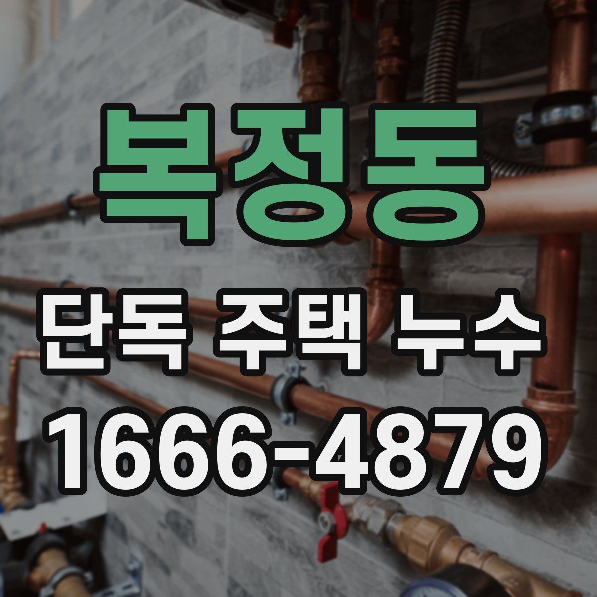 복정동 단독 주택 누수