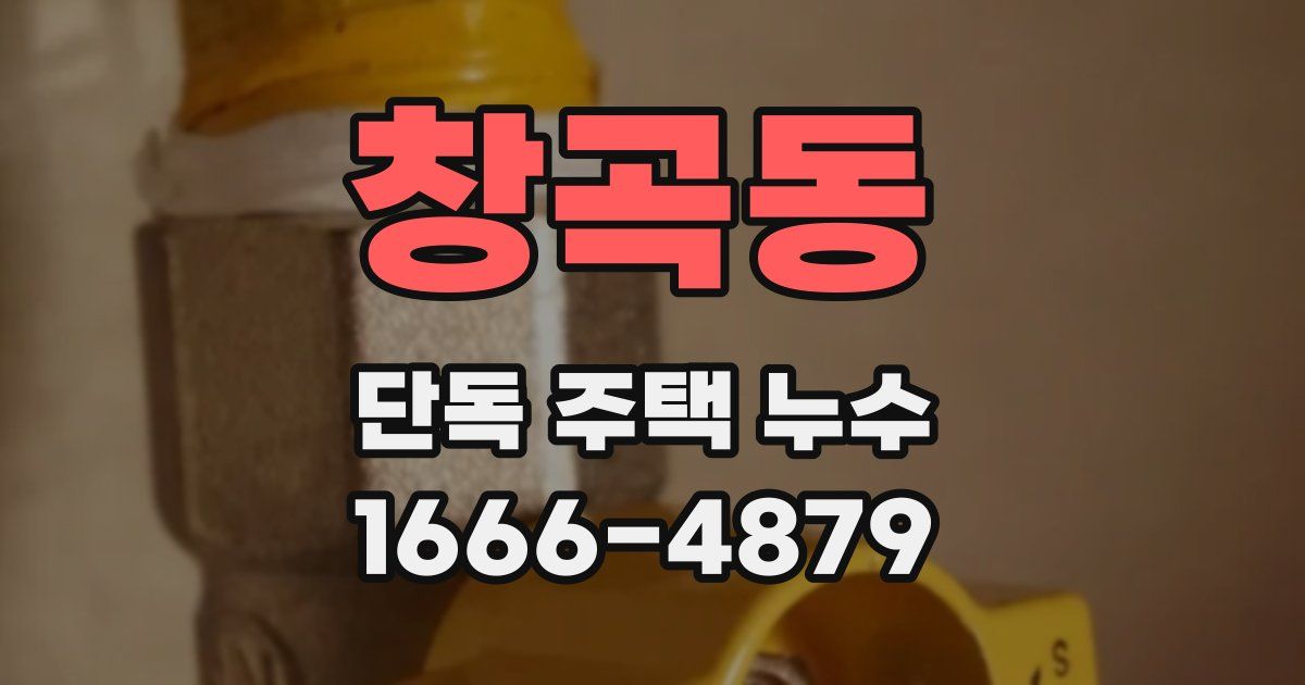 창곡동 단독 주택 누수