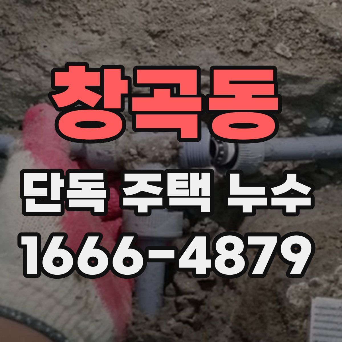 창곡동 단독 주택 누수