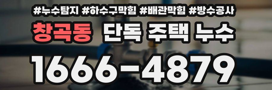 창곡동 단독 주택 누수