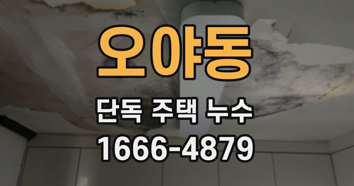 오야동 단독 주택 누수