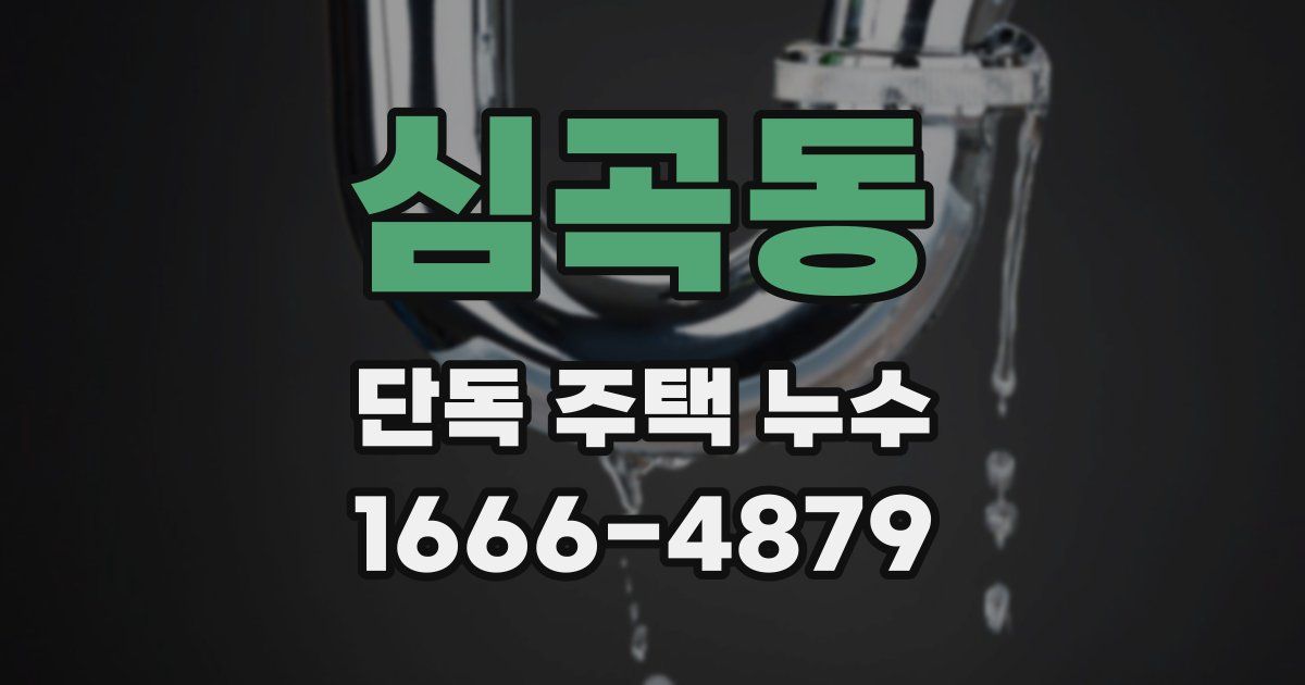 심곡동 단독 주택 누수