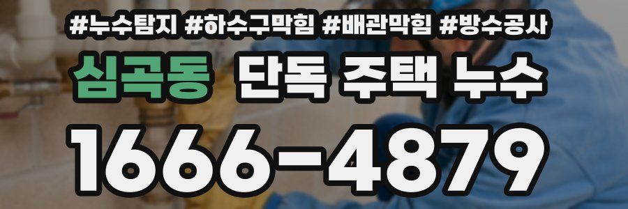 심곡동 단독 주택 누수