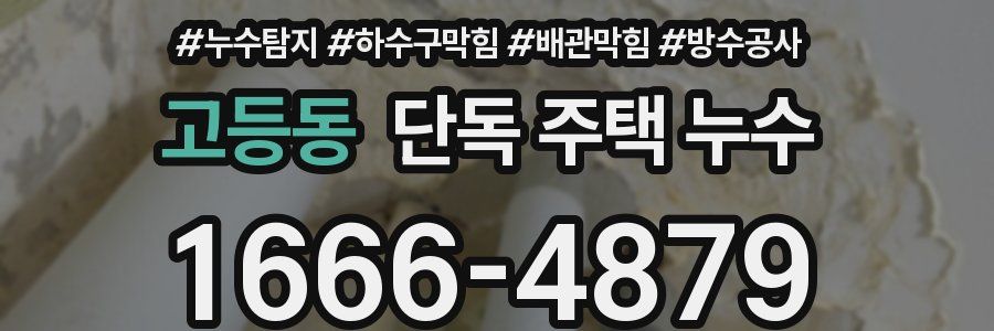 고등동 단독 주택 누수