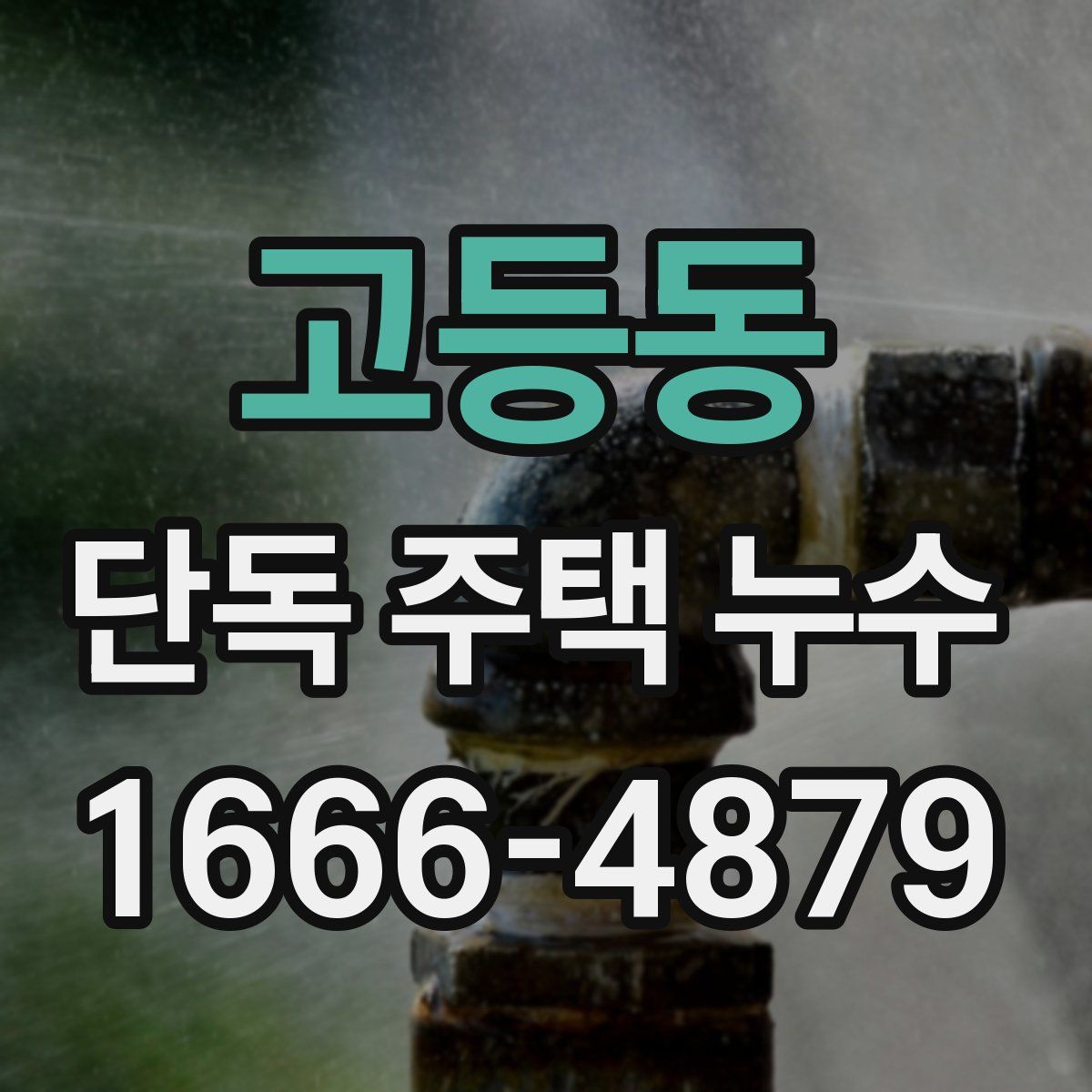 고등동 단독 주택 누수