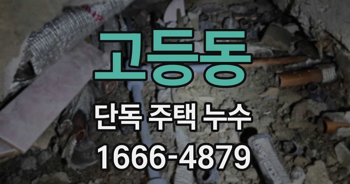 고등동 단독 주택 누수