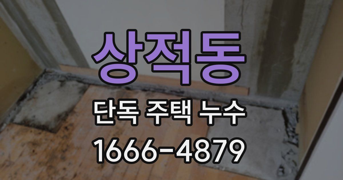 상적동 단독 주택 누수