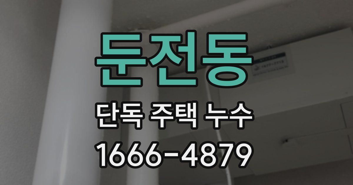 둔전동 단독 주택 누수
