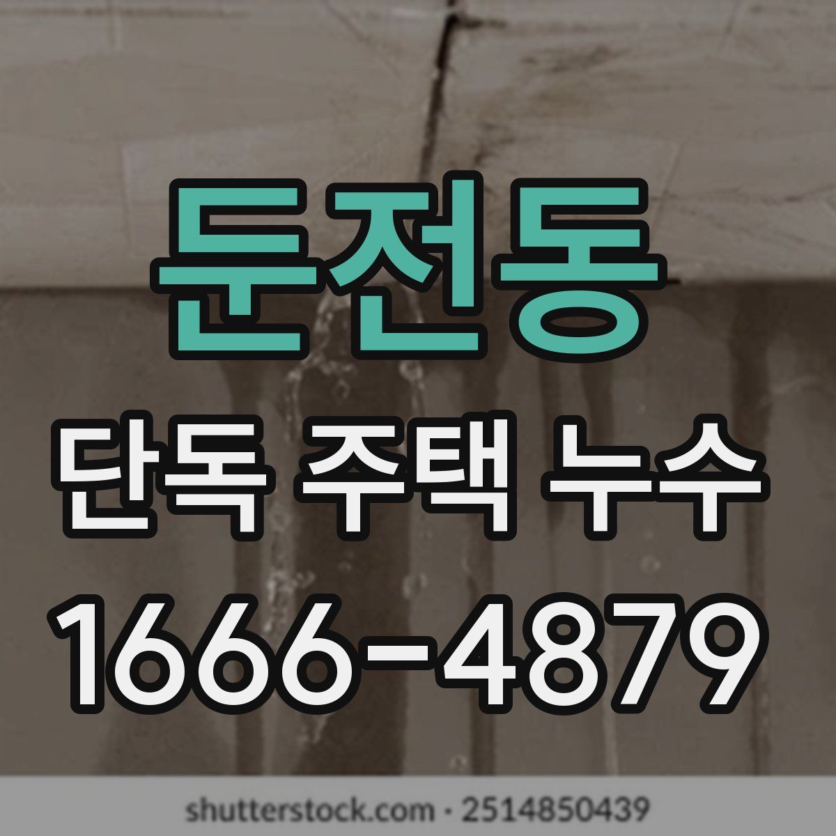 둔전동 단독 주택 누수