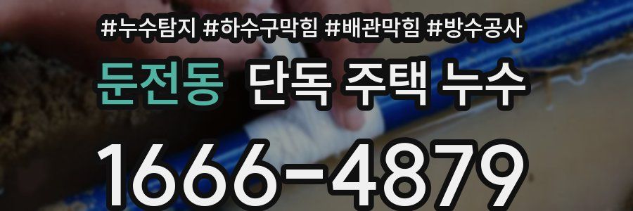 둔전동 단독 주택 누수