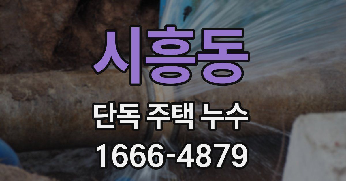 시흥동 단독 주택 누수